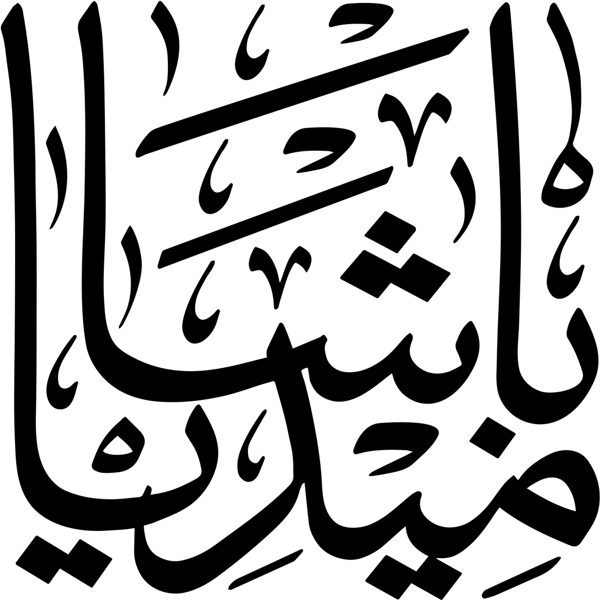 Basha Media Store